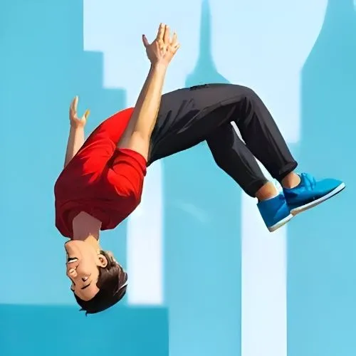 Cover image of Flip Master